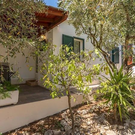 Komplex Oliva Mit Pool Und Grossem Garten